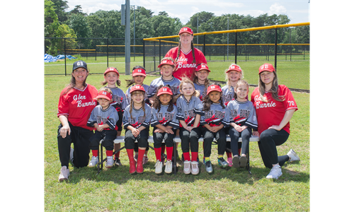 6U Lady Bugs